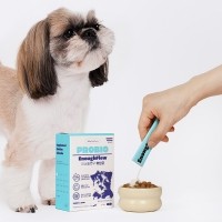 [알로키친] 강아지 눈물 유산균 이너플로우 750억 포스트프로바이오틱스