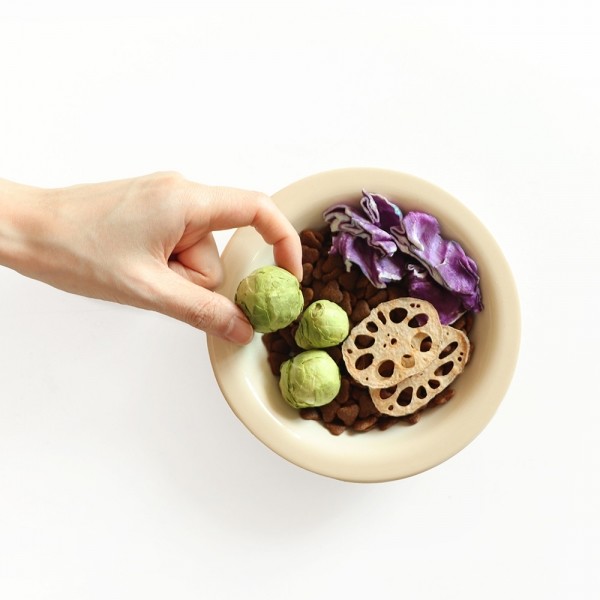 페오펫몰,[2개세트] 알로키친 알로칩스 후르츠믹스 #애플망고 #바나나 #사과