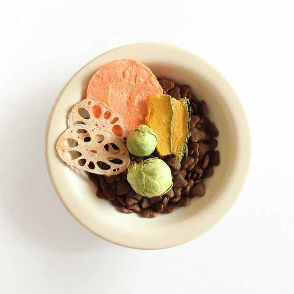 페오펫몰,[2개세트] 알로키친 알로칩스 유기농 연근칩