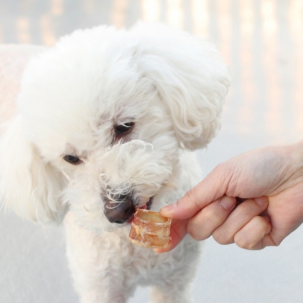 페오펫몰,[오래오래프로젝트] 깨끗한육포 쫄깃 낙타 울대링 30g