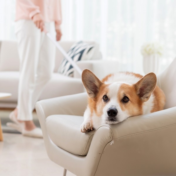 페오펫몰,하이호 펫플로어클리너 500ml