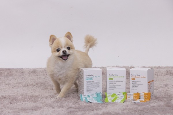 페오펫몰,[큐어바이케어] 코어 서플리 포 펫 프로바이오틱스 (유산균) 30개입