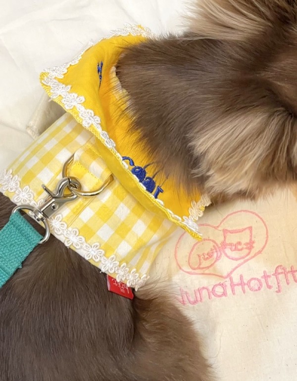 페오펫몰,러브핫핏 [개린이&냥린이] 딩동댕유치원 하네스