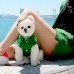 썸네일(스크롤)