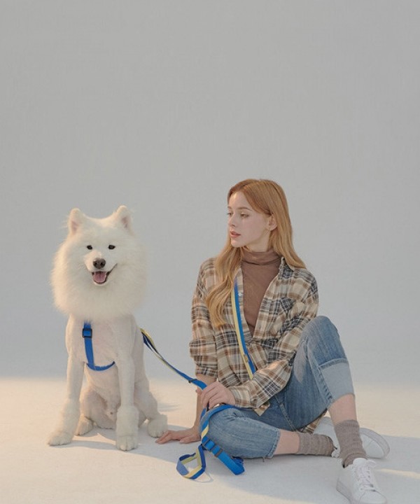 페오펫몰,[SPEL] 스펠 항공 TY하네스 세트 BLUE (하네스+2m 리드줄)