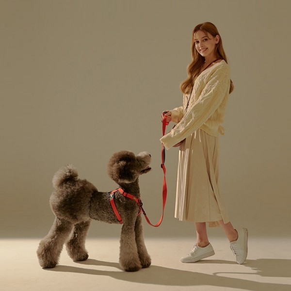 페오펫몰,[SPEL] 스펠 앞섬TY하네스 단품 BLUE