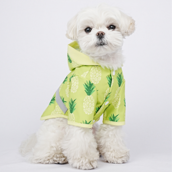 페오펫몰,냥슬아치 강아지 과일 3종 애견 반려견 우비 비옷 레인코트