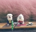썸네일(스크롤)