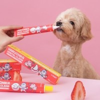펫생각 하루치카 바르는 치약 딸기향 60g