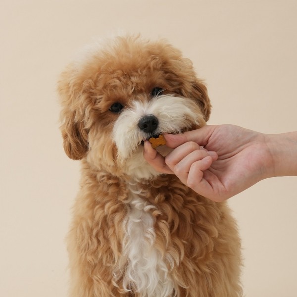 페오펫몰,펫생각 강아지 눈 눈물자국 냄새 백내장 루테인 영양제 120g