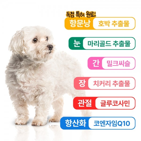페오펫몰,펫생각 강아지 올인원 종합 멀티 비타민 항산화 영양제 120g