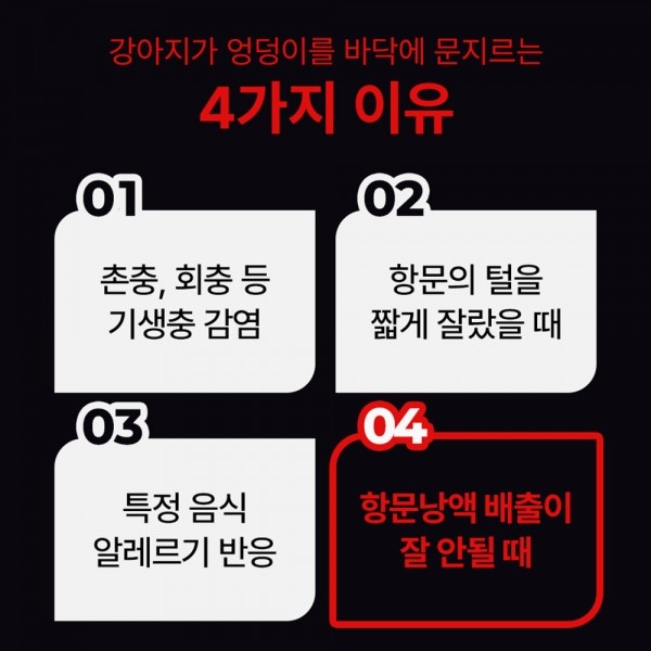 페오펫몰,펫생각 강아지 올인원 종합 멀티 비타민 항산화 영양제 120g