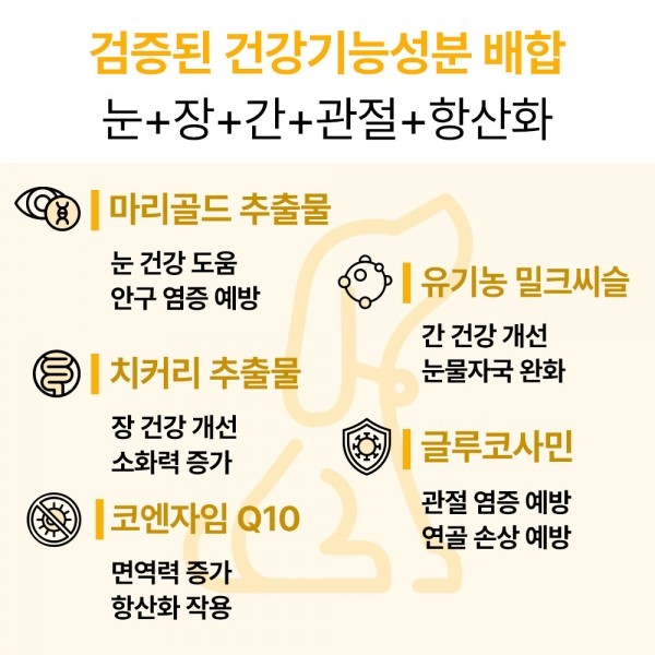 페오펫몰,펫생각 강아지 올인원 종합 멀티 비타민 항산화 영양제 120g