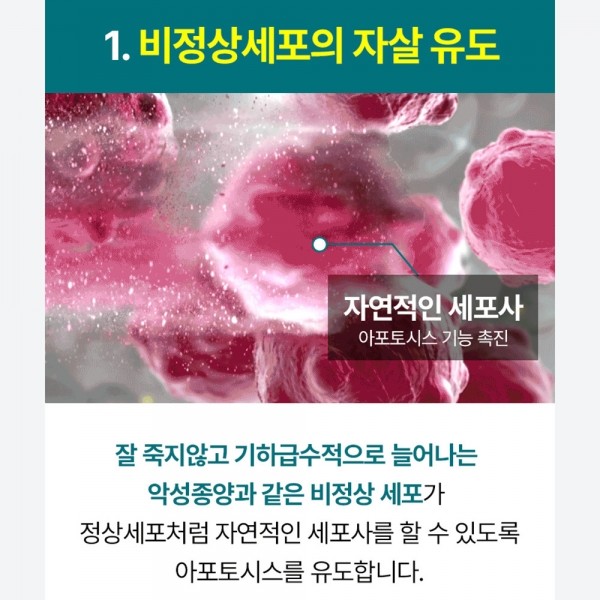 페오펫몰,펫생각 미역귀 후코이단 강아지 영양제 면역력 형행 피부 항산화제 30정
