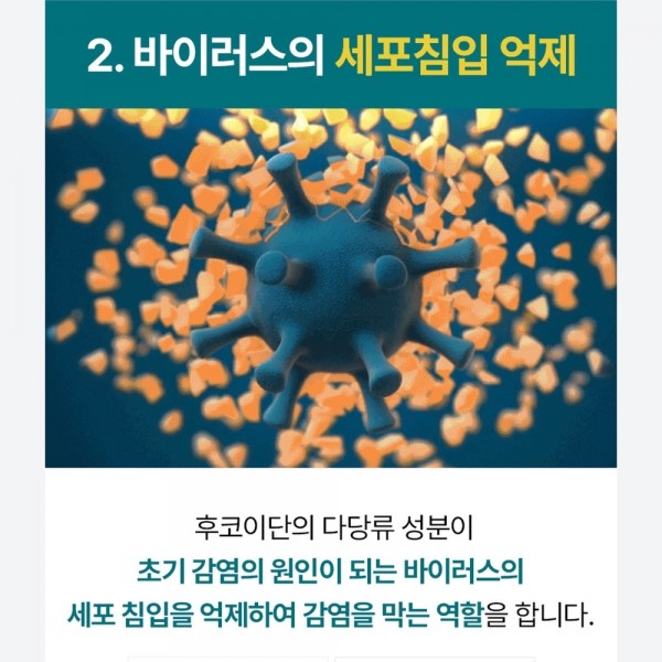 페오펫몰,펫생각 미역귀 후코이단 강아지 영양제 면역력 형행 피부 항산화제 30정