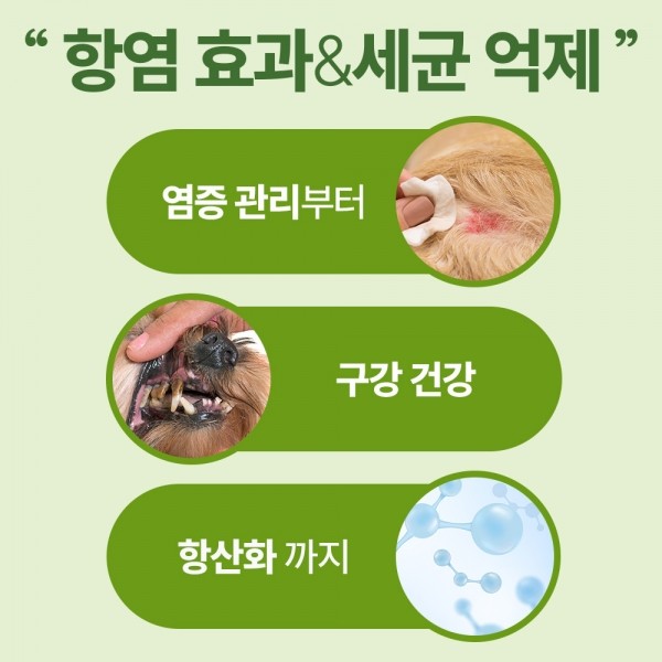 페오펫몰,펫생각 고양이 강아지 항산화 영양제 180정 프로폴리스 면역력 종양 항염 영양제