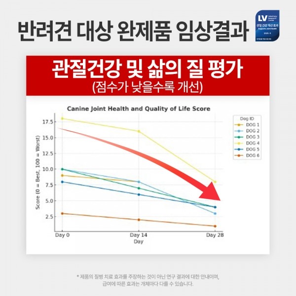 페오펫몰,펫생각 임상완료 조인트 프로 강아지 관절 영양제 60정 슈퍼리얼 칼슘 슬개골 관절염 연골 디스크 예방 개선