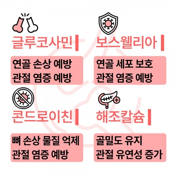 페오펫몰,펫생각 강아지 관절영양제 슬개골탈구 관절염 질환 케어 120g