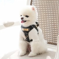 도게스트로 데일리 하네스