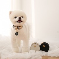 도게스트로 베이직 목줄