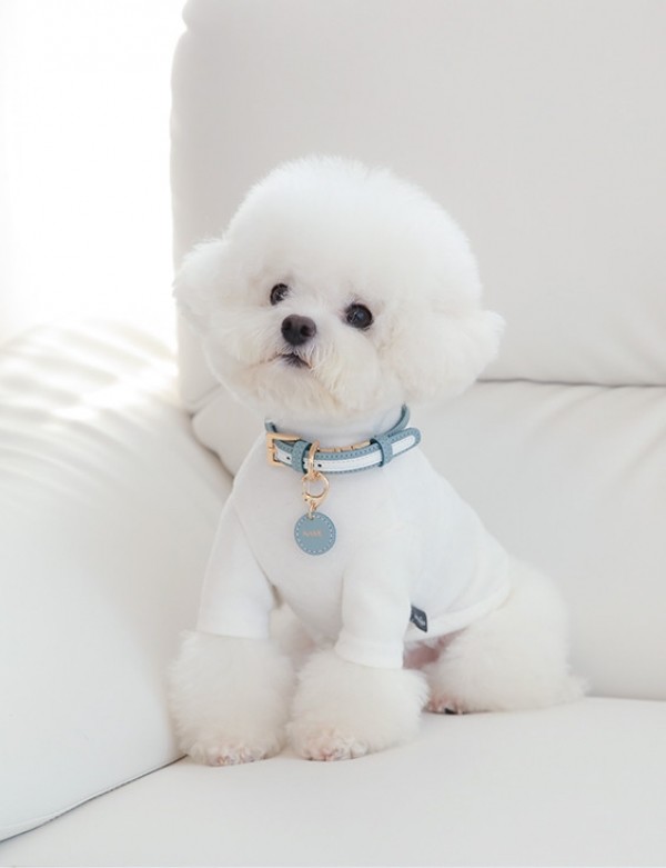페오펫몰,도게스트로 트윈 목줄