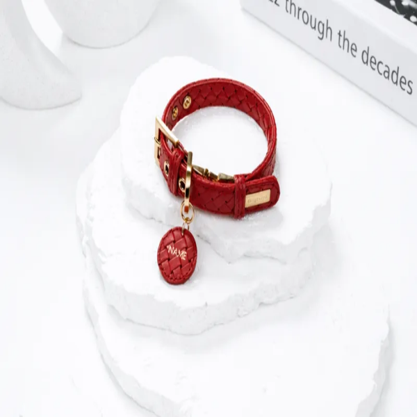 도게스트로 클라씨 목줄