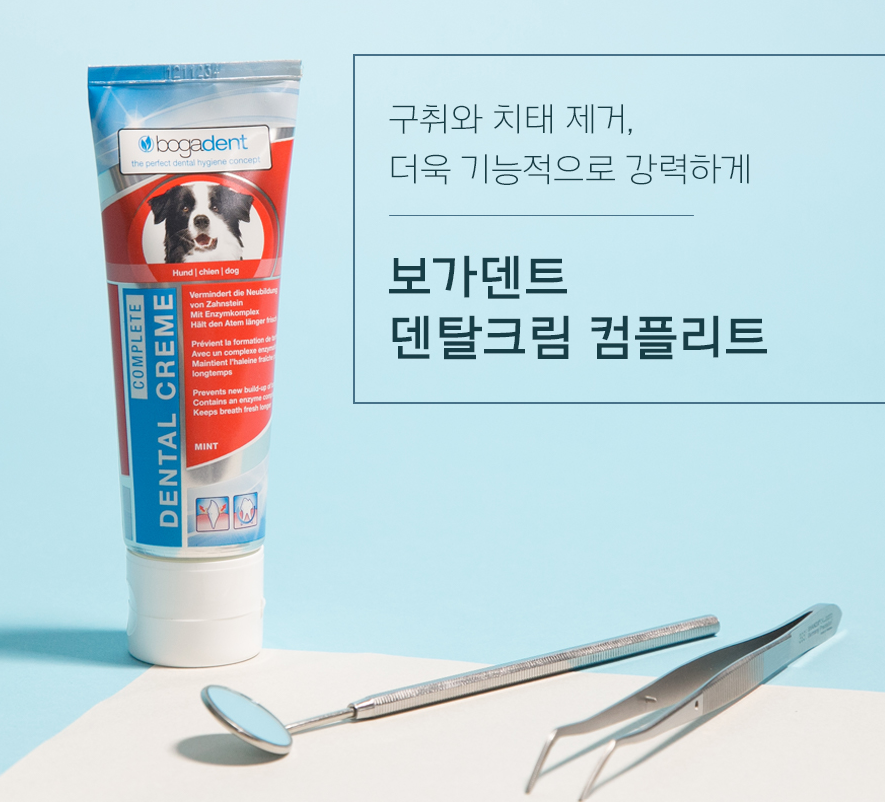 [보가덴트] 덴탈크림 컴플리트 치약 [최저가]