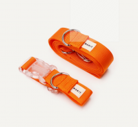 [메이킷] Orange 오렌지 목줄/리드줄 [최저가]