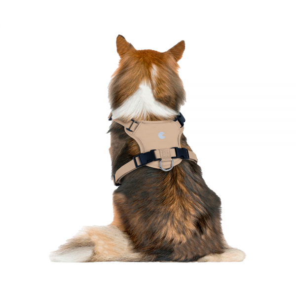 페오펫몰,코코넛즈 노터치 라이트 하네스 - 베이지