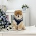 썸네일(스크롤)