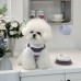 썸네일(스크롤)