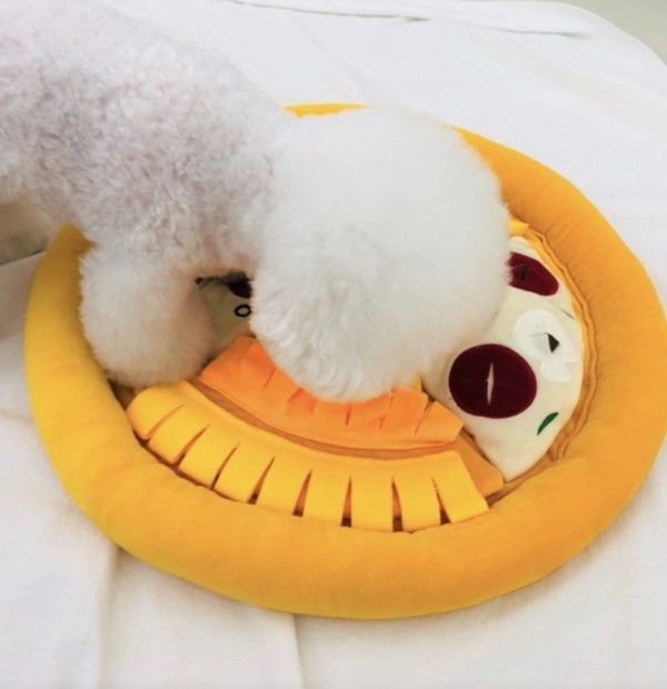 페오펫몰,피자노즈워크