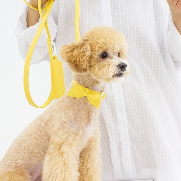 페오펫몰,엠몰리 린넨 미니멀 강아지 목줄 12컬러 탈부착 콩리본 보타이