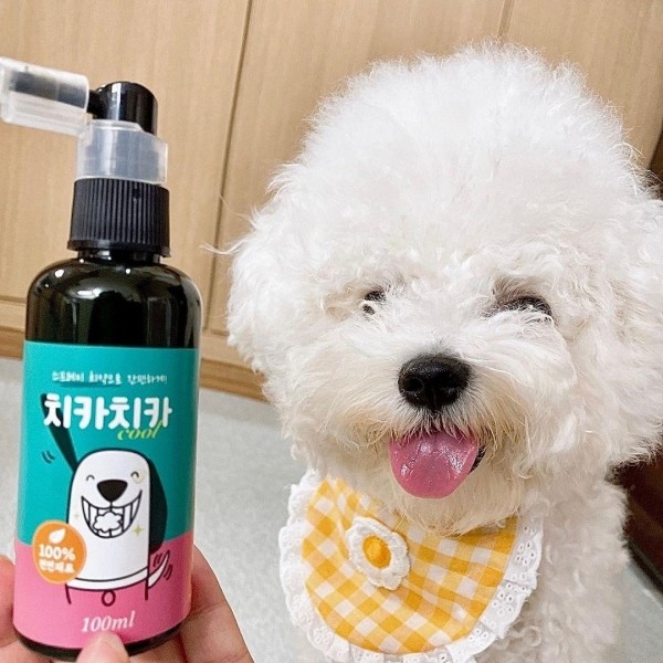 페오펫몰,치카치카쿨 한방조성물 100% 국내산 뿌리는 구강스프레이 100ml