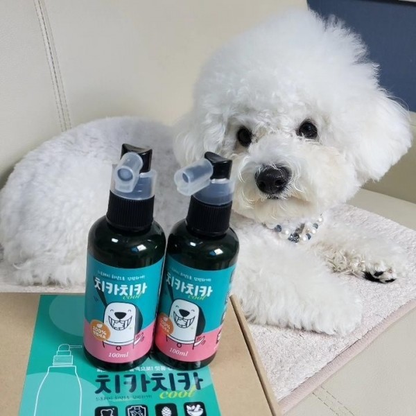 페오펫몰,치카치카쿨 한방조성물 100% 국내산 뿌리는 구강스프레이 100ml