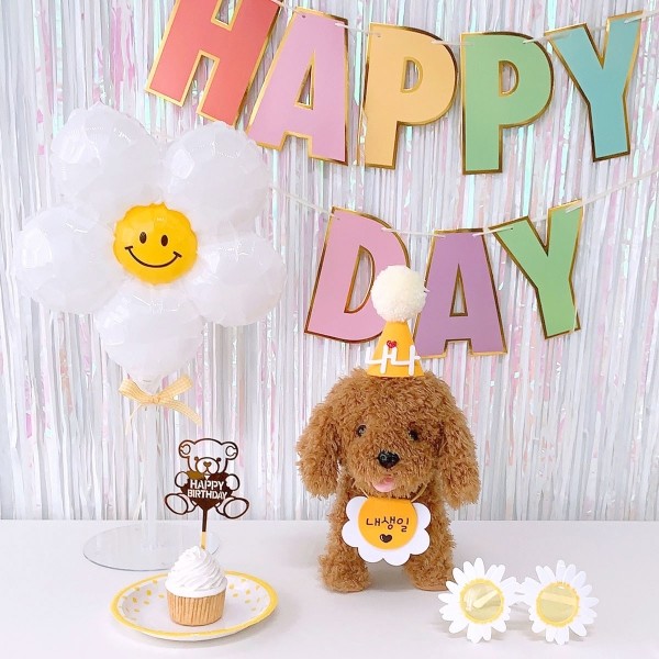 페오펫몰,데이지 생일파티세트