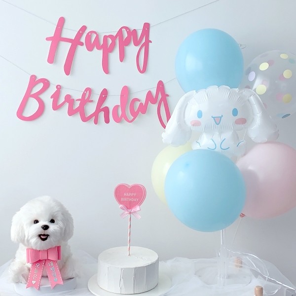 페오펫몰,시나모롤풍선 생일파티세트