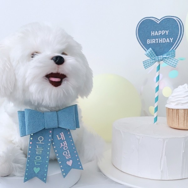 페오펫몰,시나모롤풍선 생일파티세트
