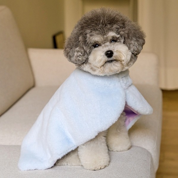 페오펫몰,[솔티핫티] 솔티핫티 윈터로브 BLUE