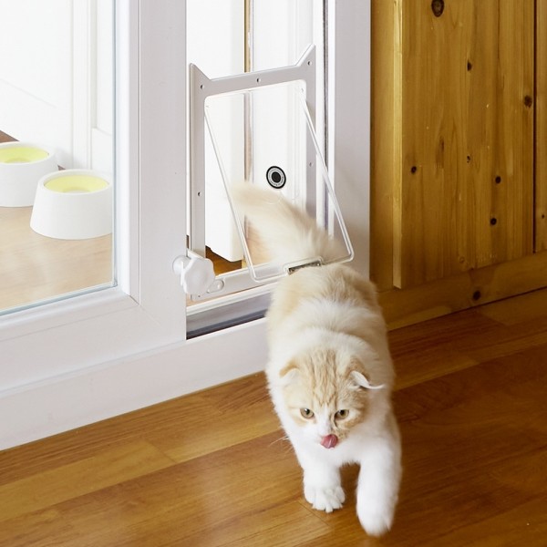 페오펫몰,견문 프리미엄