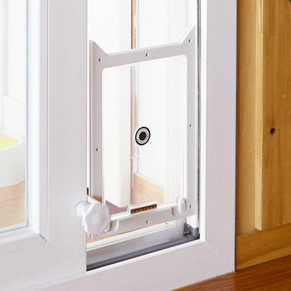 페오펫몰,견문 프리미엄