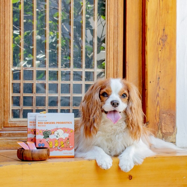 페오펫몰,리스펫랩 강아지 고양이 홍삼 유산균 1500억 프로바이오틱스 30포
