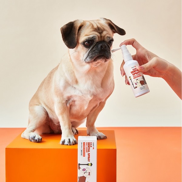 페오펫몰,리스펫 강아지 고양이 뿌리는 치약 구강청결제 100ml