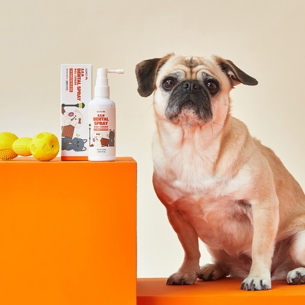 페오펫몰,리스펫 강아지 고양이 뿌리는 치약 구강청결제 100ml