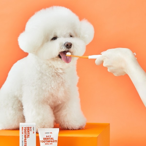 페오펫몰,리스펫 강아지 고양이 바르는 치약 70g