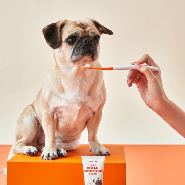 페오펫몰,리스펫 강아지 고양이 바르는 치약 70g