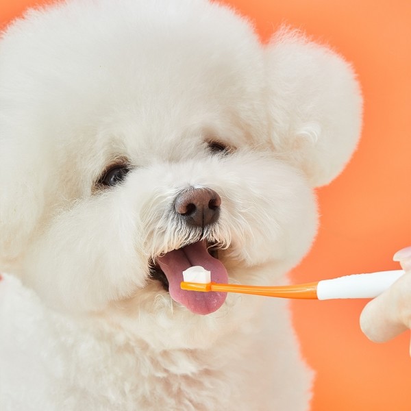 페오펫몰,리스펫 강아지 고양이 바르는 치약 70g