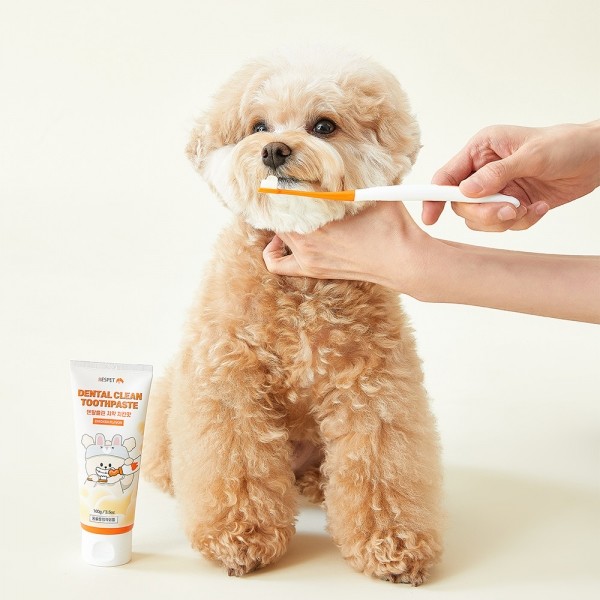 페오펫몰,리스펫 강아지 고양이 덴탈 클린 효소치약, 닭고기맛 100g