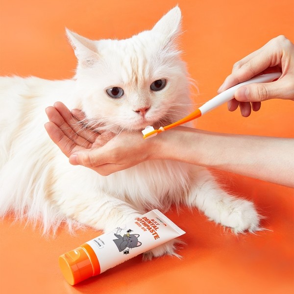 페오펫몰,리스펫 강아지 고양이 덴탈 클린 효소치약, 닭고기맛 100g