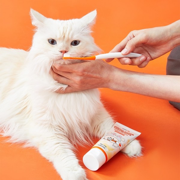 페오펫몰,리스펫 강아지 효소 바르는 치약 칫솔 세트 초극세사모 입냄새 100ml + 칫솔 2P